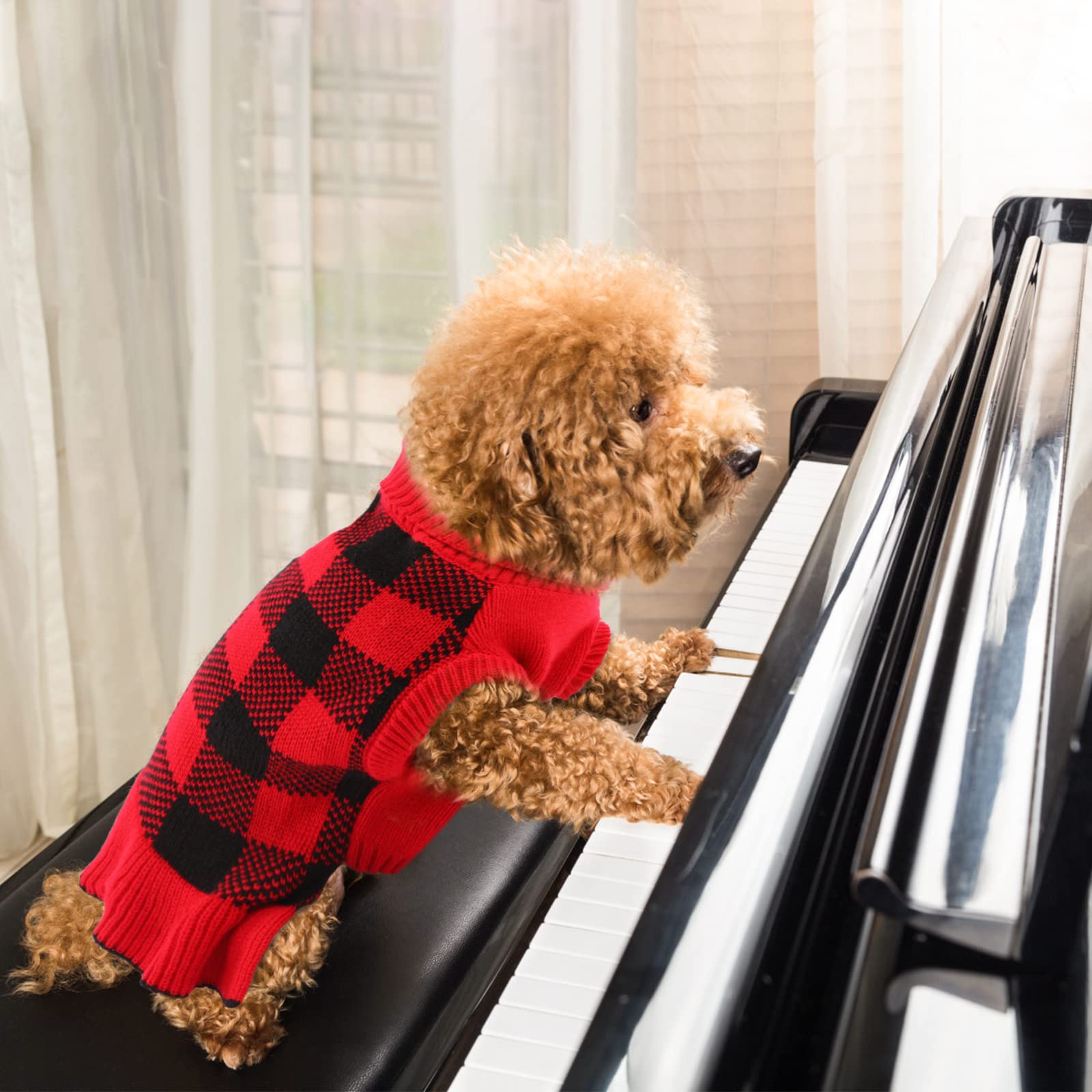 LeLePet ruffle-skirt plaid dog sweater dress adds festive style for photos.