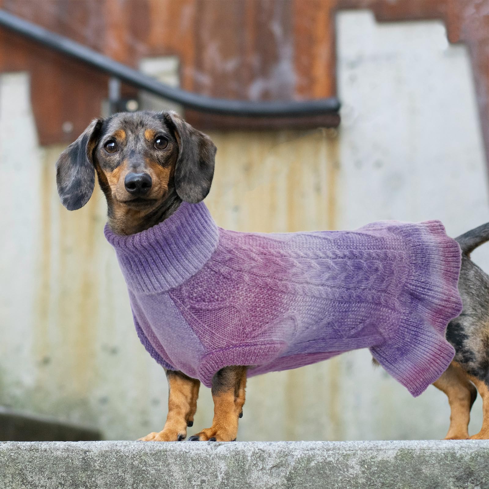 LeLePet fabric highlight image stresses breathable knit for skin-friendly warmth.