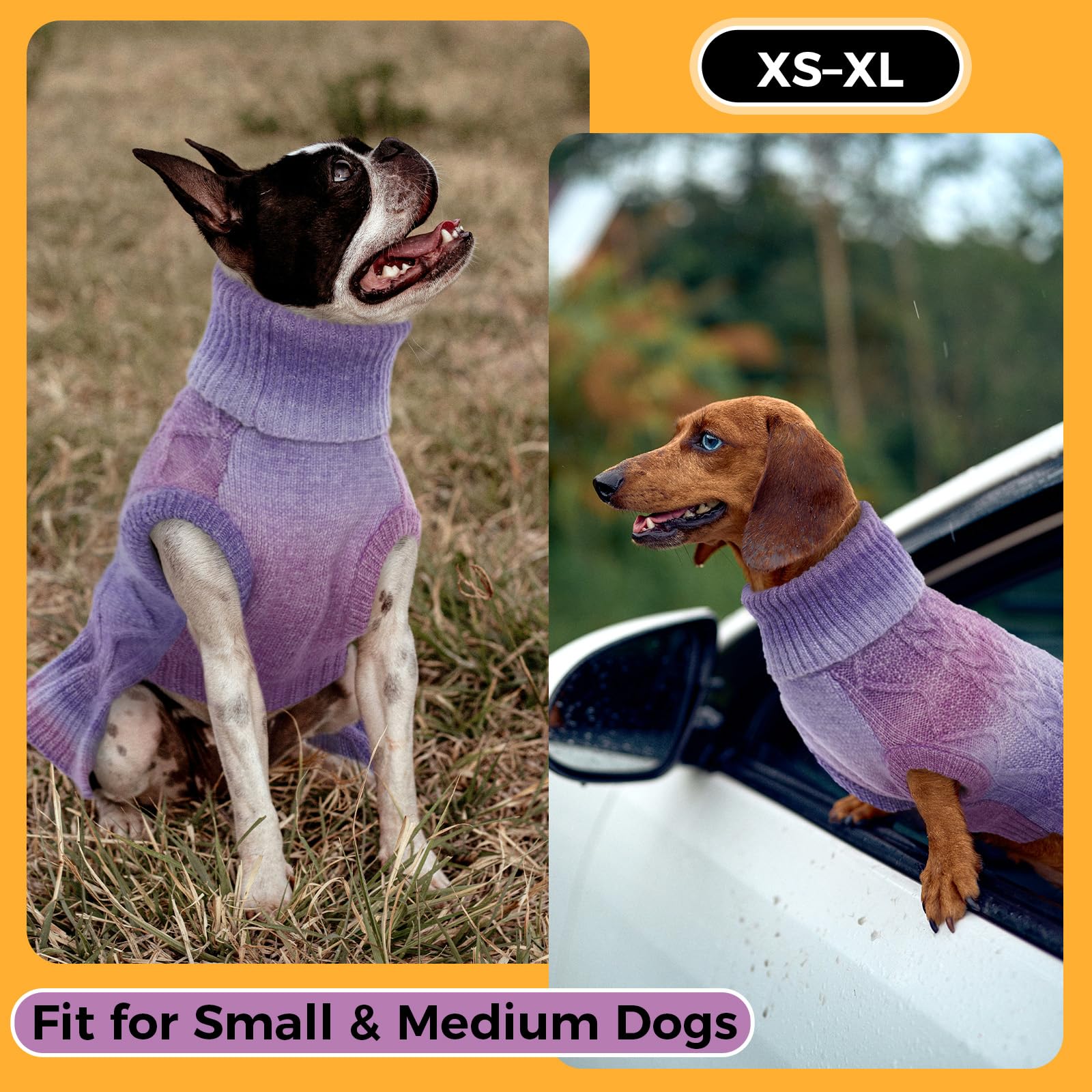 LeLePet dog sweater puppy-smile image highlights versatile daily wear.