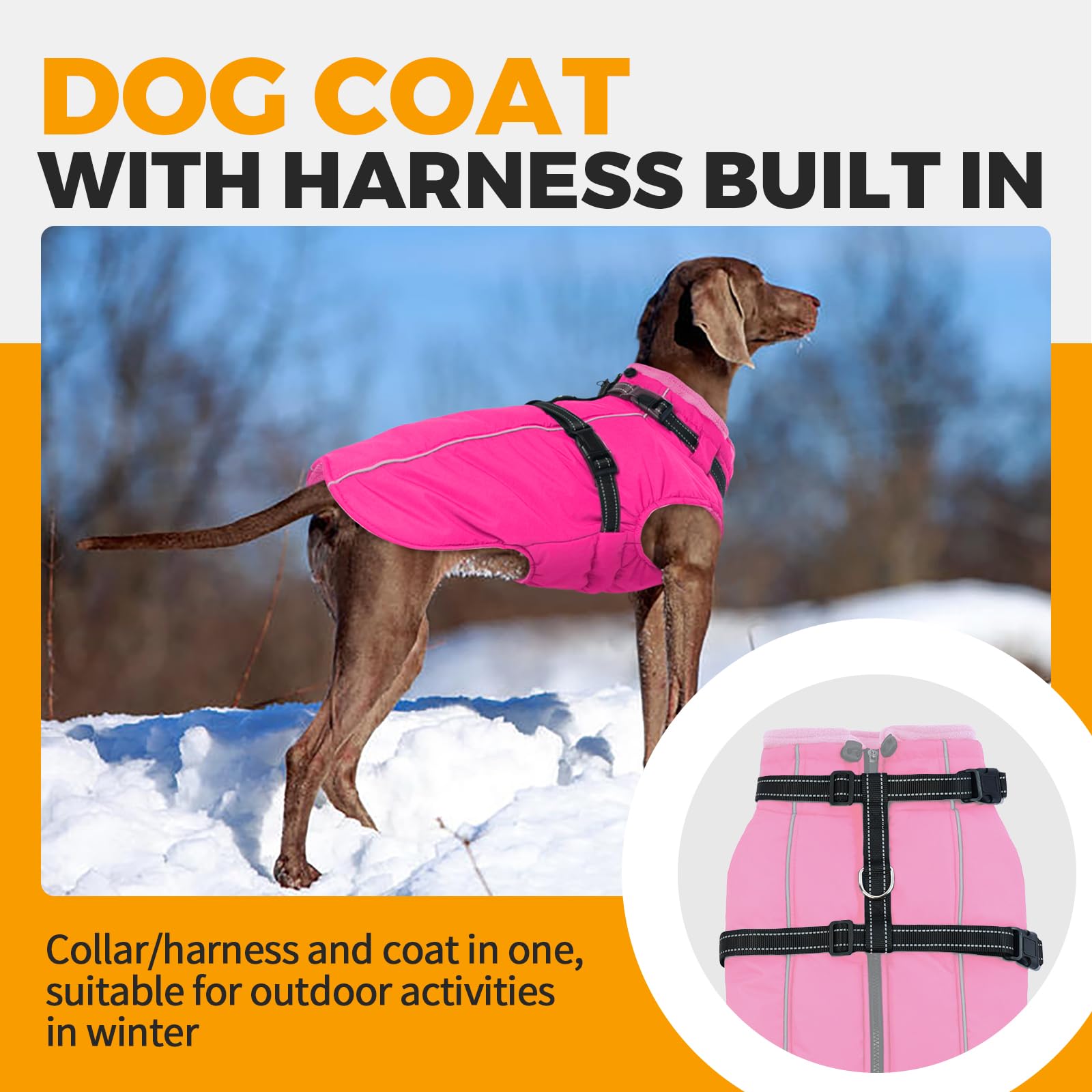 LeLePet windproof fleece-lined coat interior warmth and comfort for cold-weather wear.