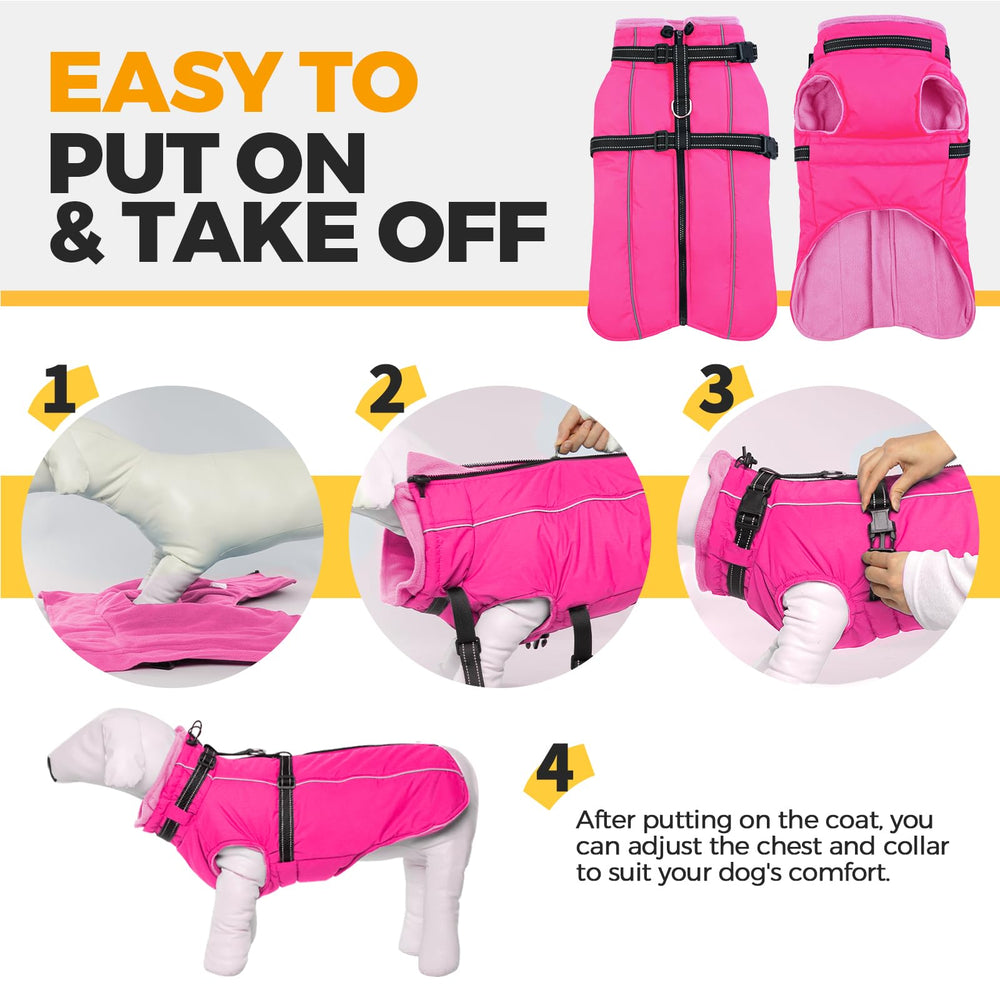 LeLePet harness with quick-release buckles for fast outdoor setup.