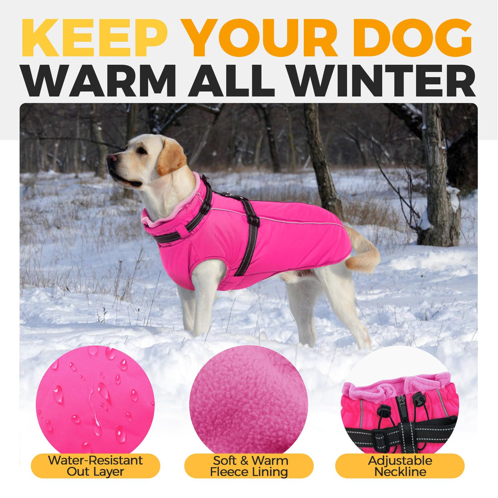 LeLePet reflective strips on back improve night visibility during evening walks.