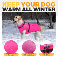LeLePet reflective strips on back improve night visibility during evening walks.
