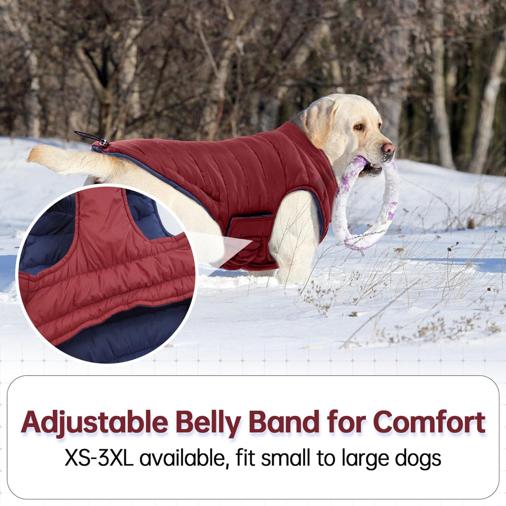 Lelepet dog winter coat size chart 3xl, illustrating measuring guide.