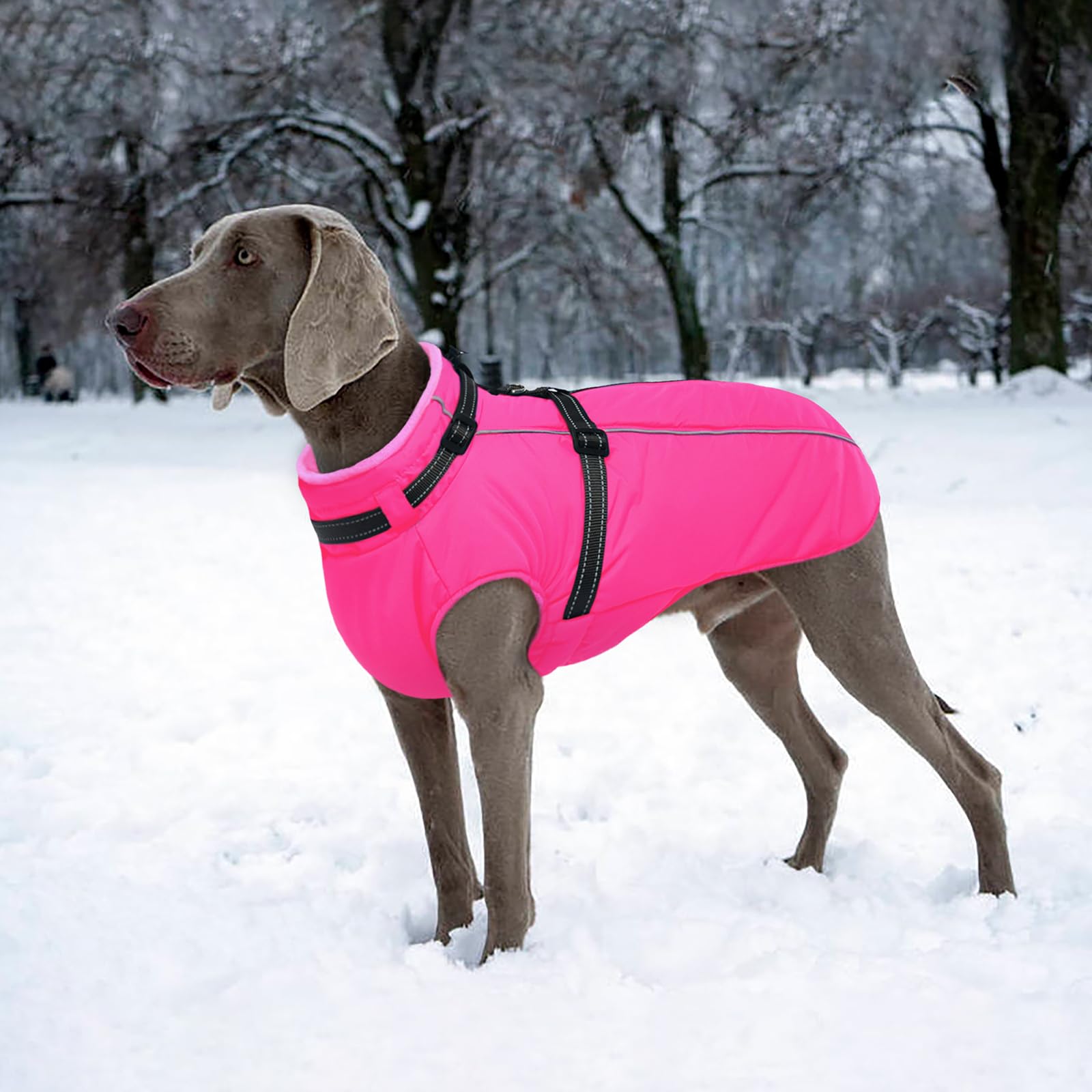 LeLePet waterproof outer shell protects against rain during hikes.