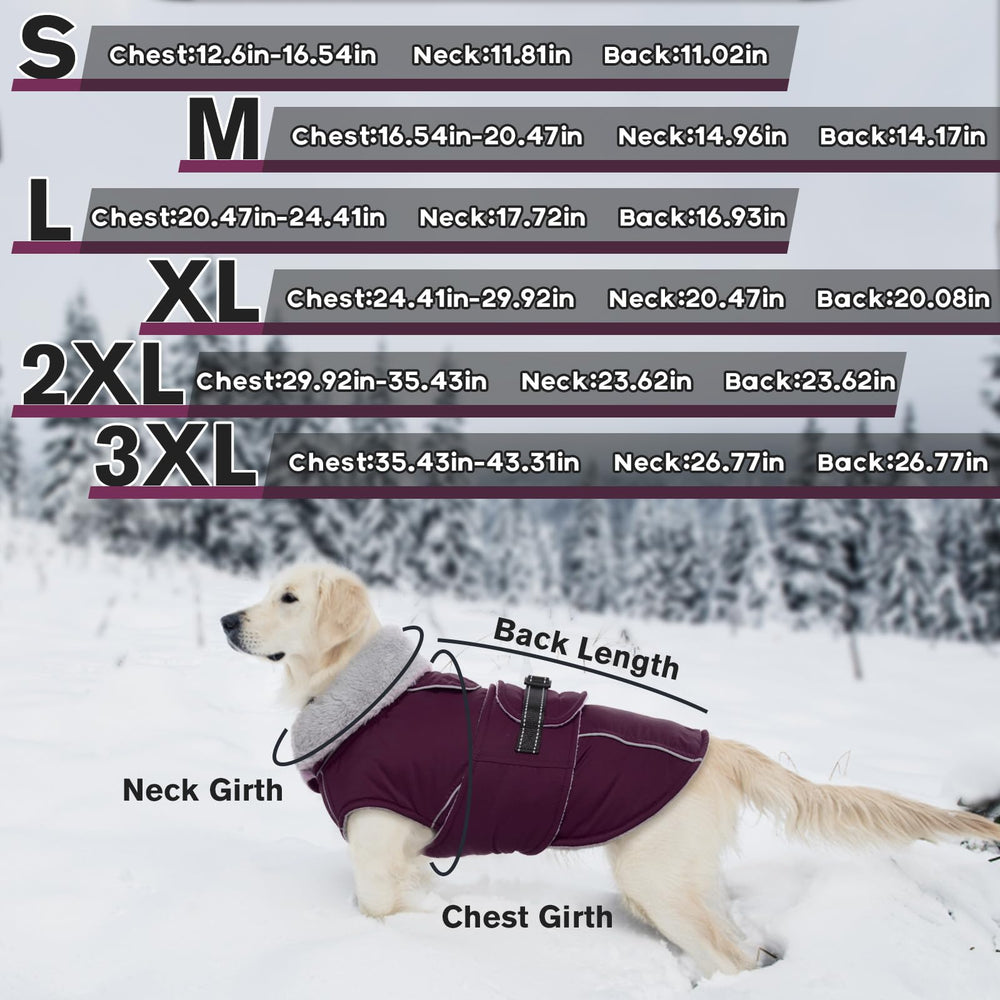 LeLePet fleece-lined coat provides cozy warmth on cold days.