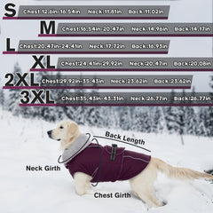 LeLePet fleece-lined coat provides cozy warmth on cold days.