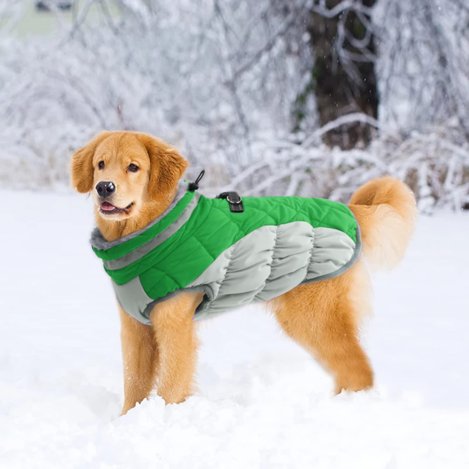 LeLePet harness-built design with two D-rings for leash or bags.