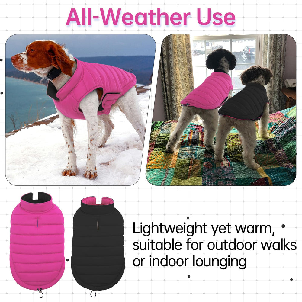 LeLePet coat leash hole for harness attachment during walks.