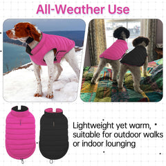 LeLePet coat leash hole for harness attachment during walks.