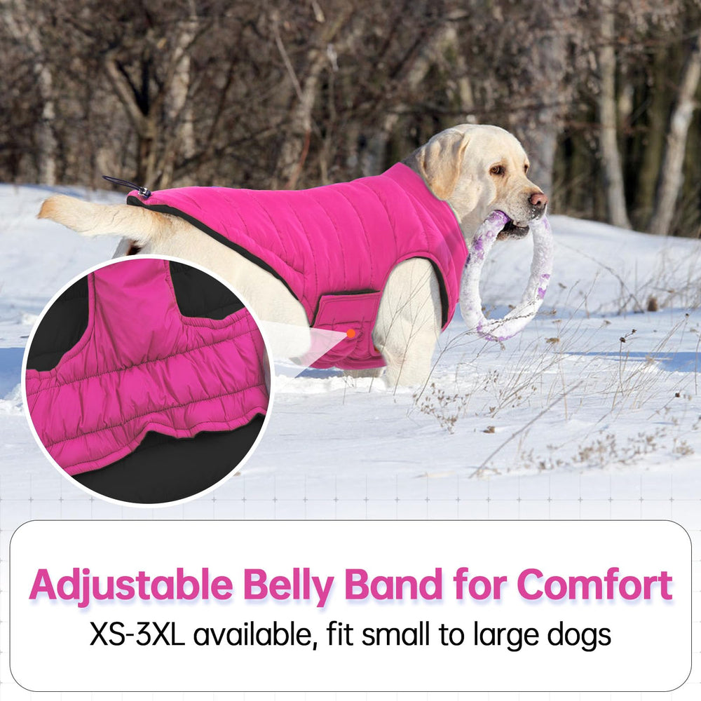 LeLePet lightweight winter coat keeps dogs comfy without bulk.