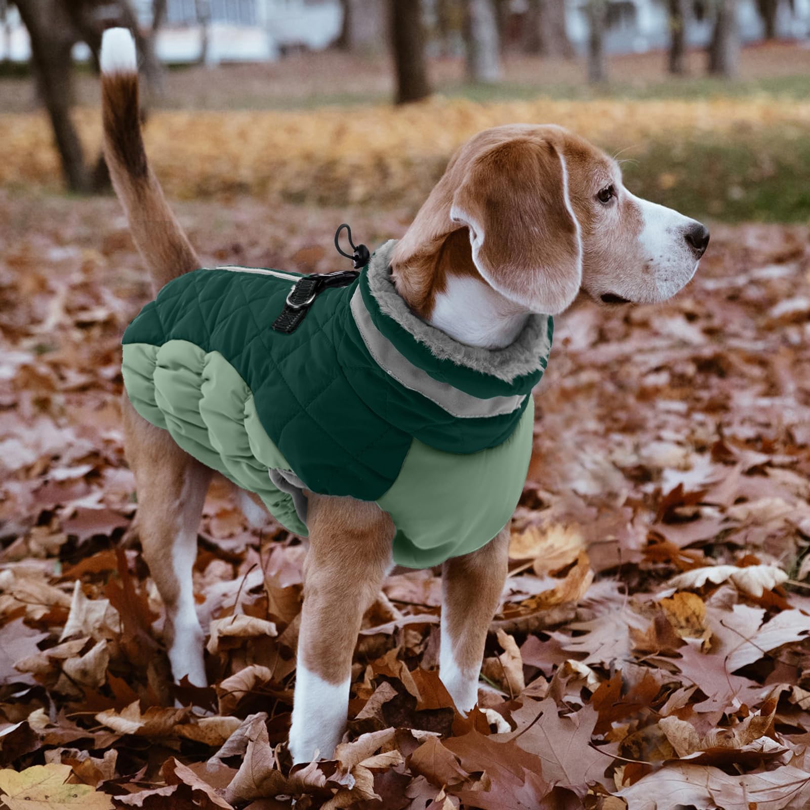 Lelepet machine-washable dog coat for easy cleaning after adventures