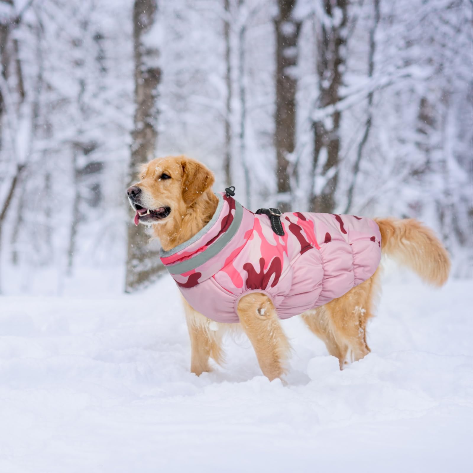 LeLePet machine-washable dog coat for easy post-walk cleanup