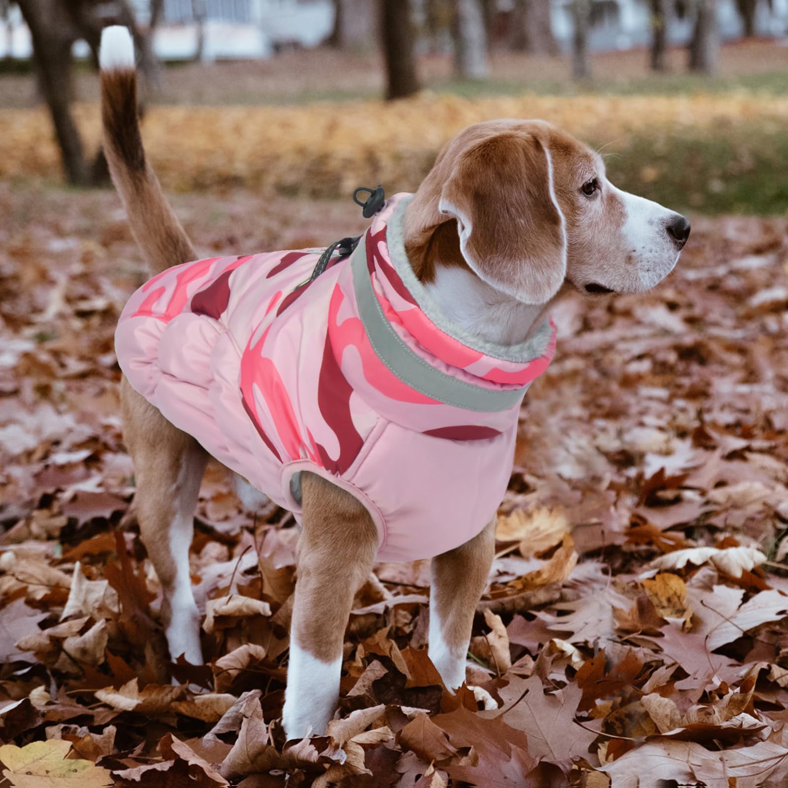 LeLePet machine washable coat for easy care