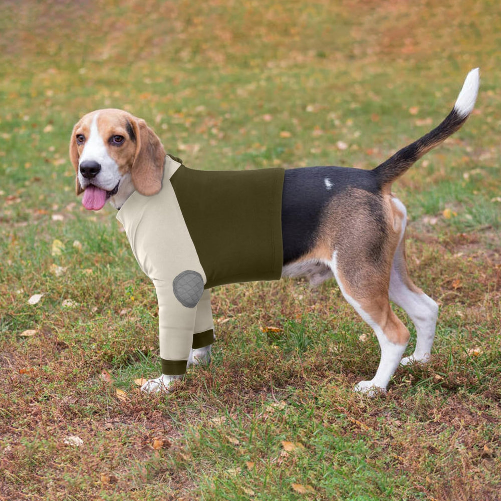 LeLePet recovery suit suitable for male and female dogs during recovery.