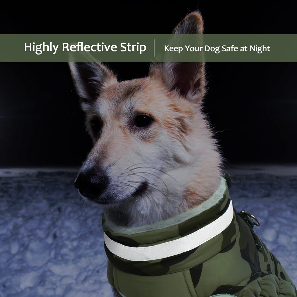 LeLePet reflective band around the collar increases visibility in low light conditions.