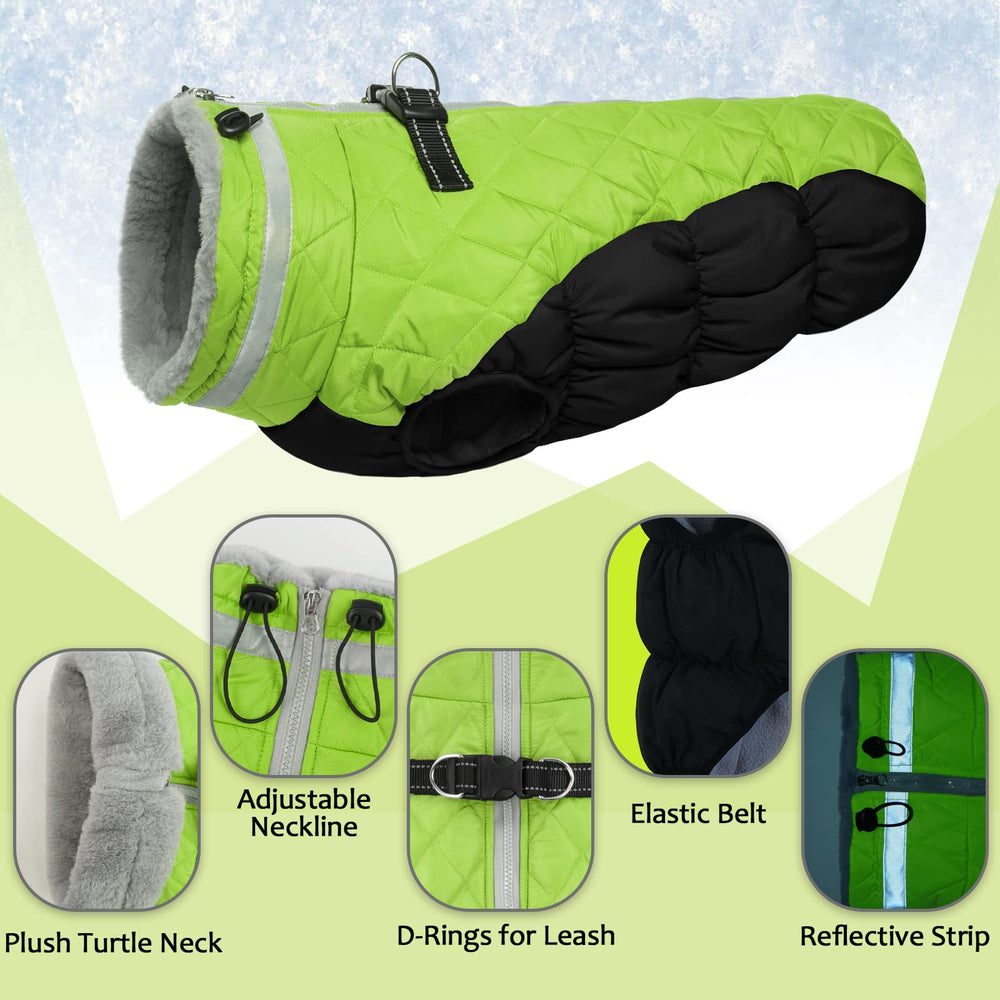 LeLePet reflective band on collar enhances visibility during night walks.