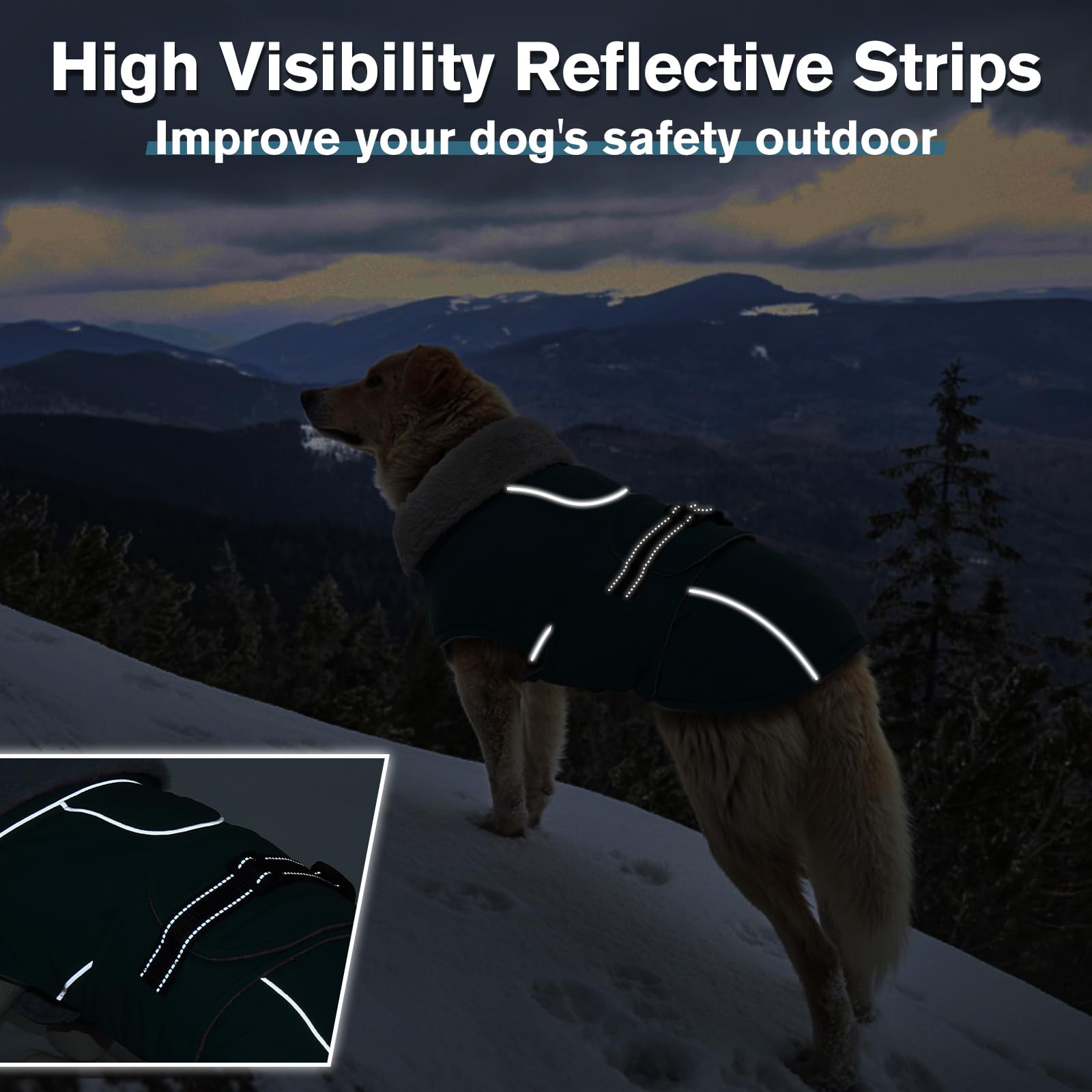 Lelepet Reflective Strips for safer night walks.