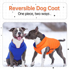 LeLePet reversible dog coat back view highlights stylish dual-color option.