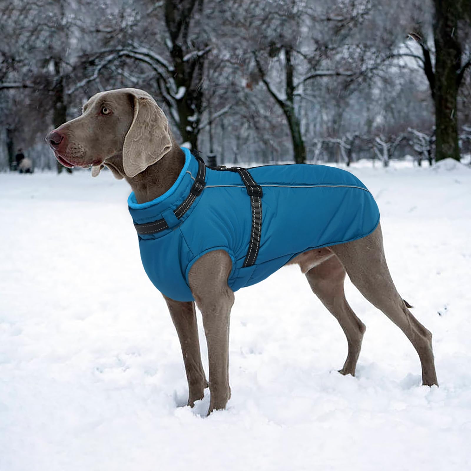 LeLePet seven-size range XS to 3XL fits many breeds