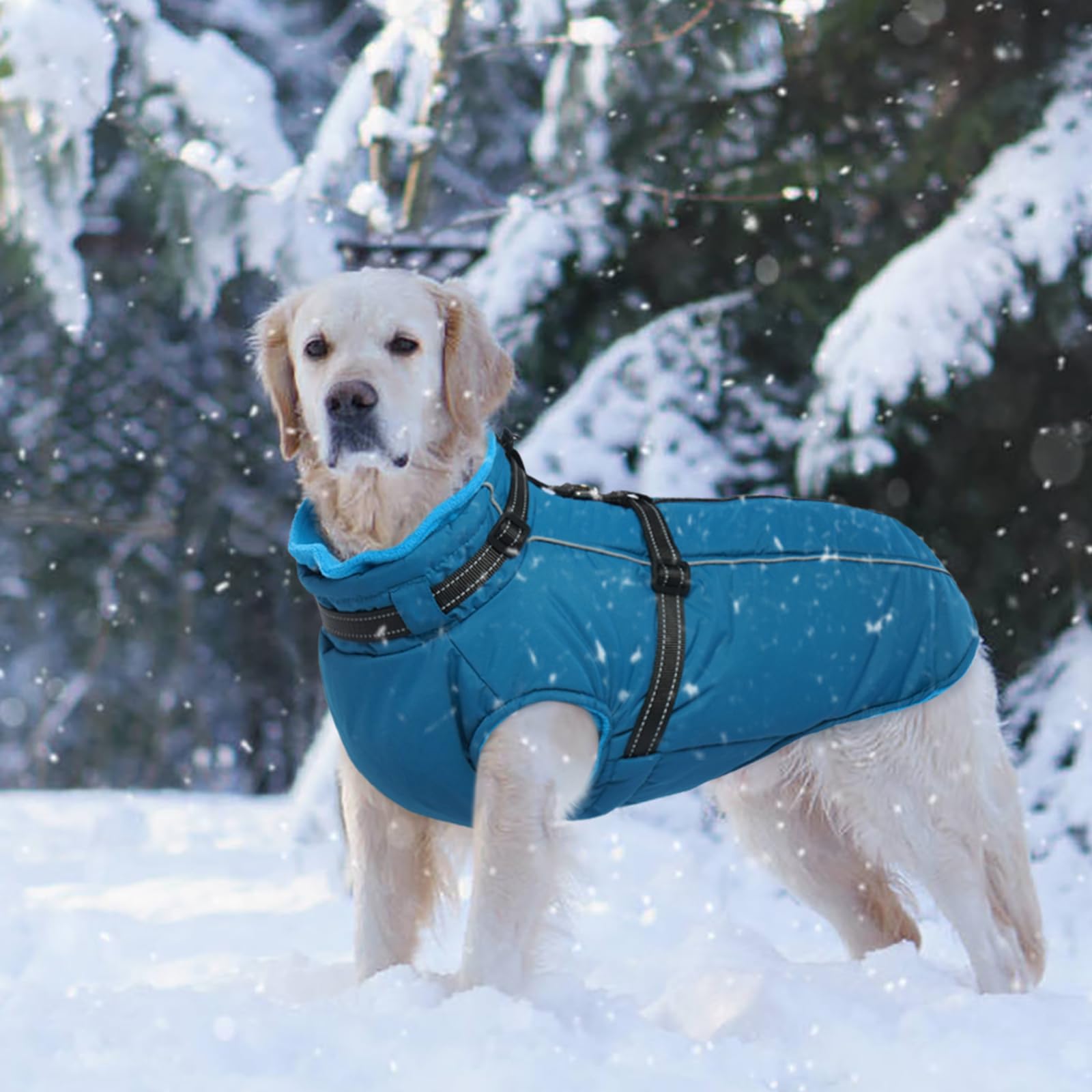 LeLePet soft fleece lining adds cozy warmth