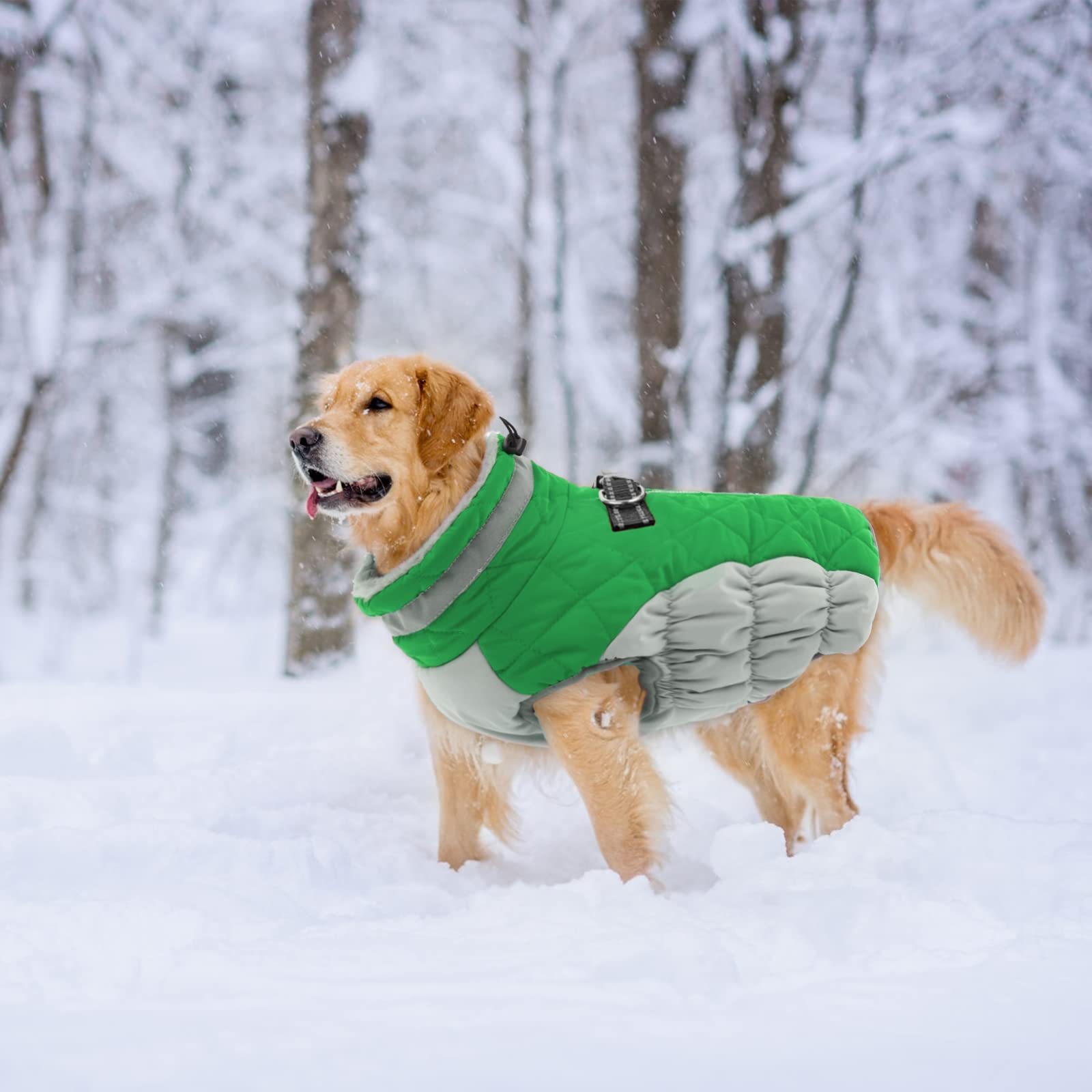 LeLePet turtle neck with adjustable drawstring on green coat.