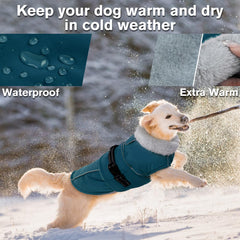 LeLePet warm dog coat fur-collar-detail emphasizes snug warmth.