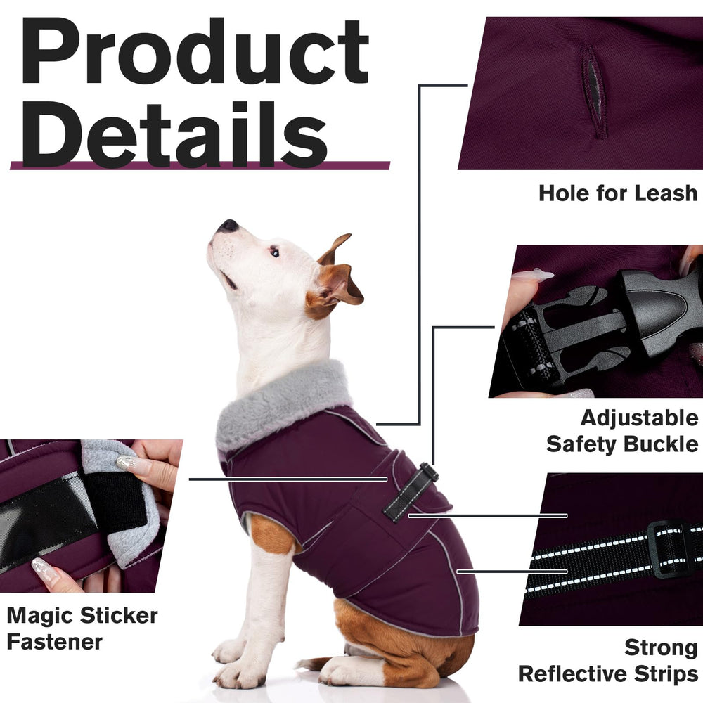 LeLePet coat leash hole design adds convenience for outdoor adventures.