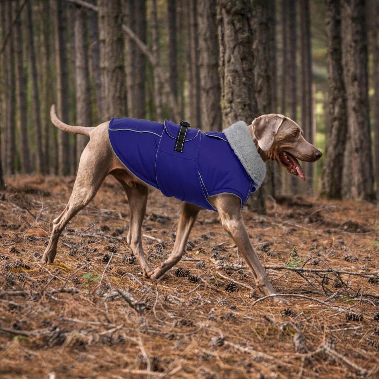 LeLePet Warm Dog Coat machine washable tag for easy care