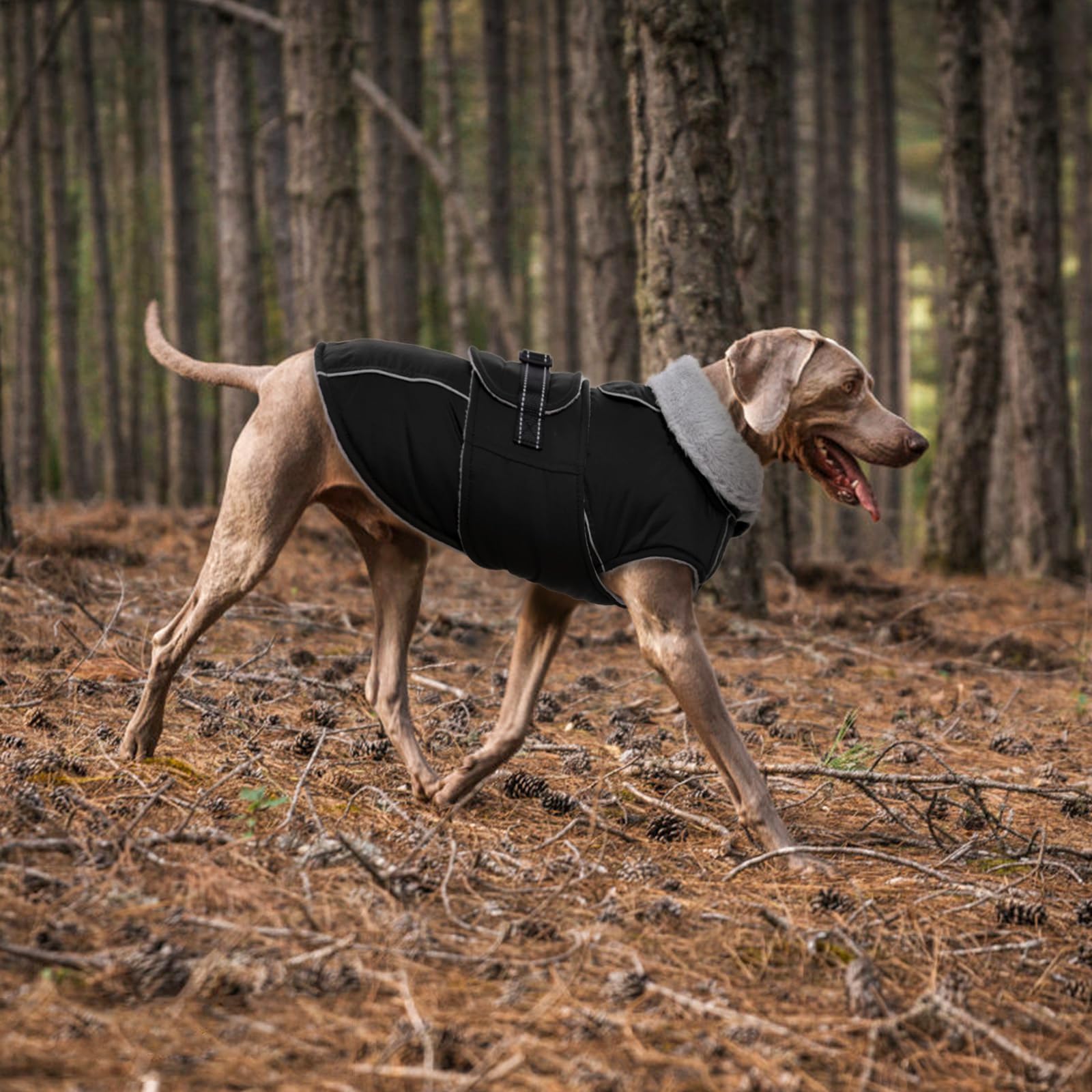 LeLePet Warm Dog Coat size chart options help find the perfect fit.