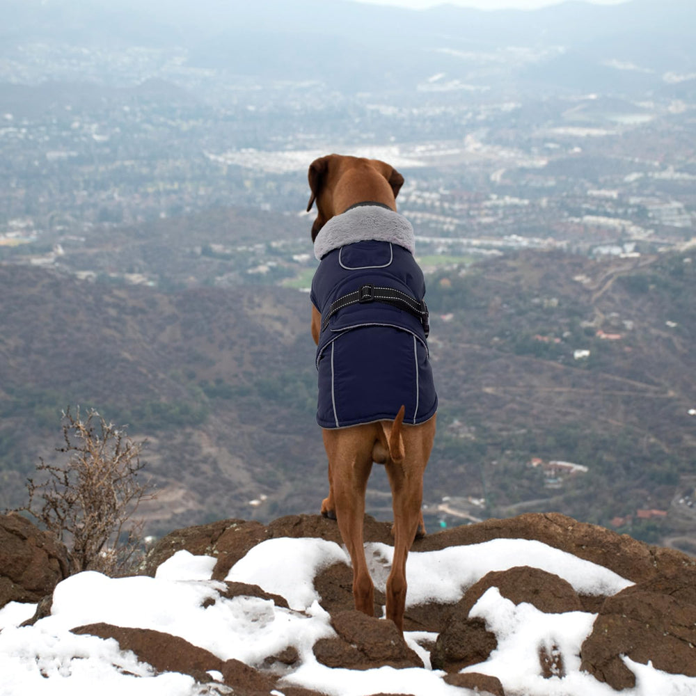 LeLePet Warm Dog Coat size chart display helps finding the right fit.