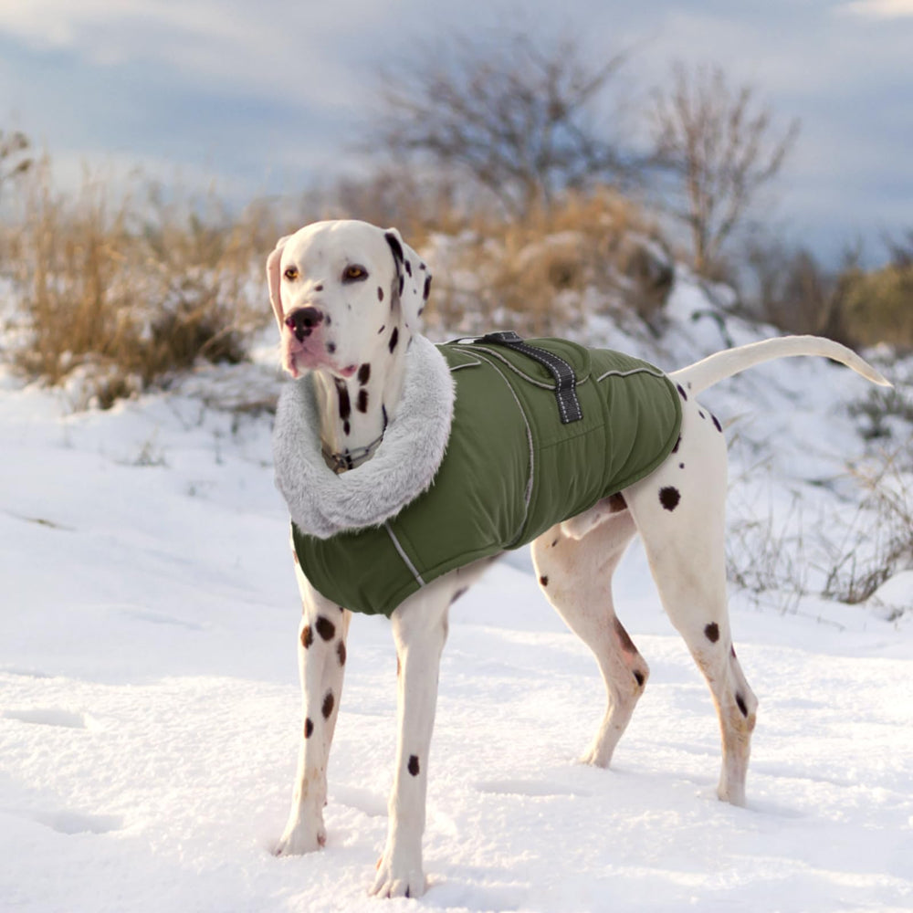 LeLePet warm dog coat size chart helps the right fit.