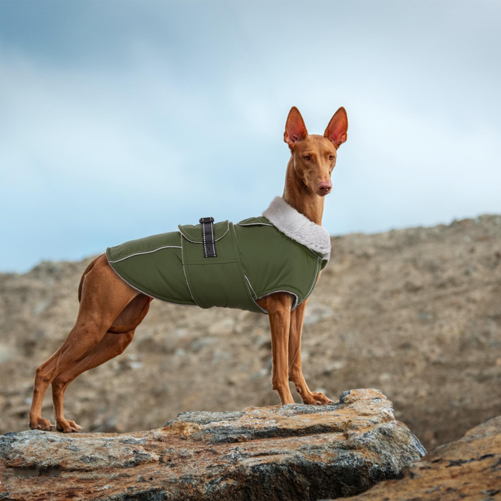 LeLePet warm dog coat size chart helps you choose the right XXL fit