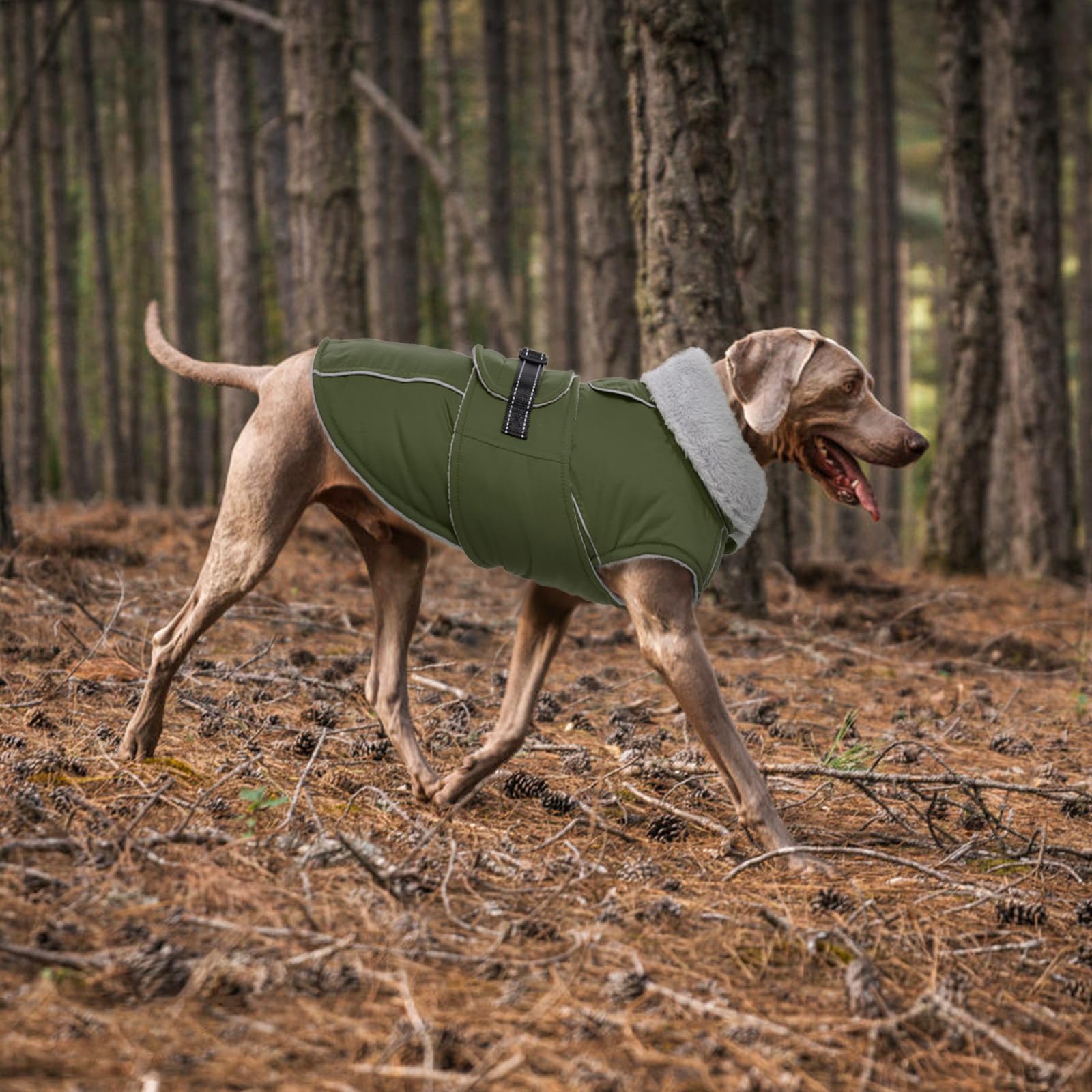 LeLePet warm dog coat size range helps fit small to large dogs.