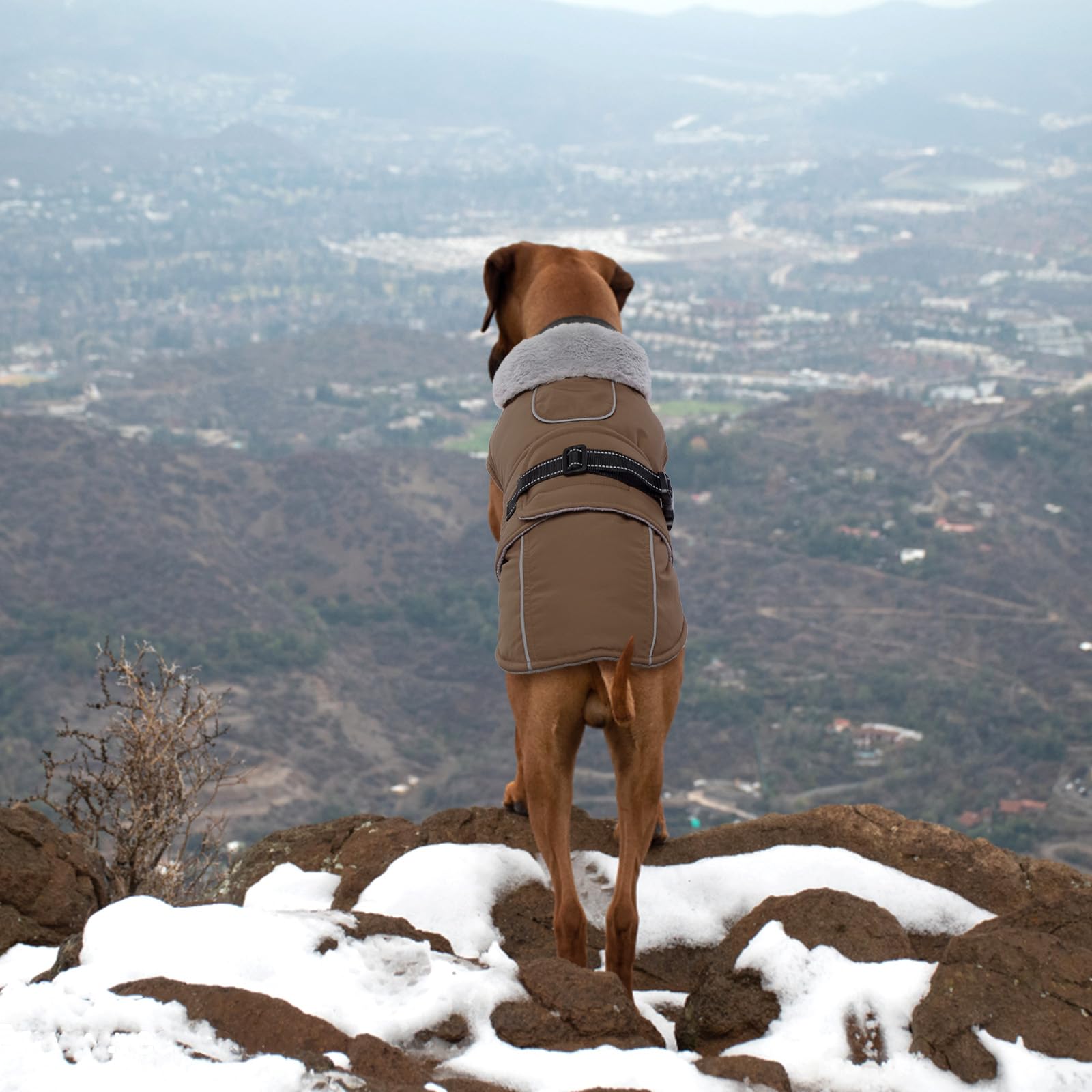 Lelepet Warm Dog Coat brown ideal for camping and hiking in cold weather.