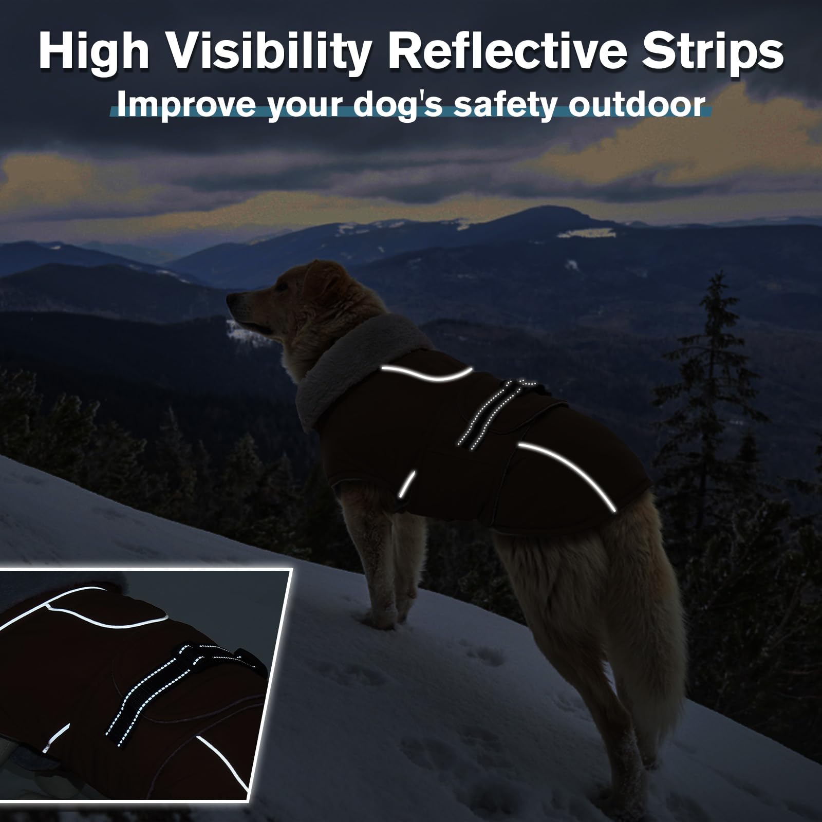 LeLePet warm dog coat adjustable buckle highlights easy on/off and secure fit