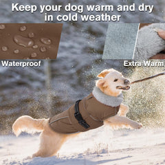 LeLePet warm dog coat side view showing full coverage and secure fit