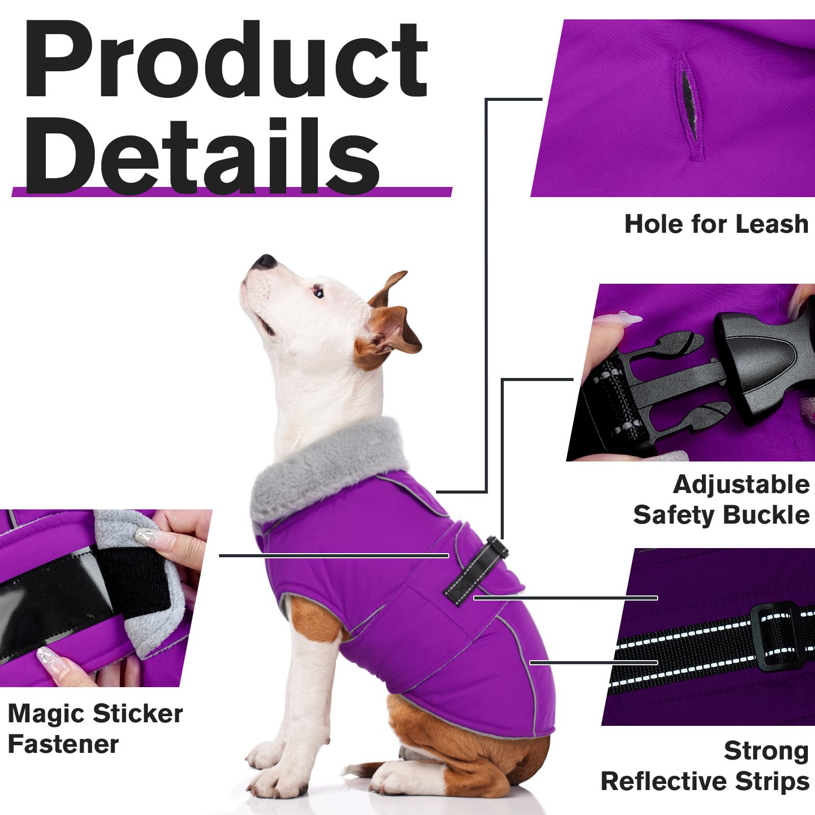 LeLePet adjustable buckle and magic sticker for quick on/off
