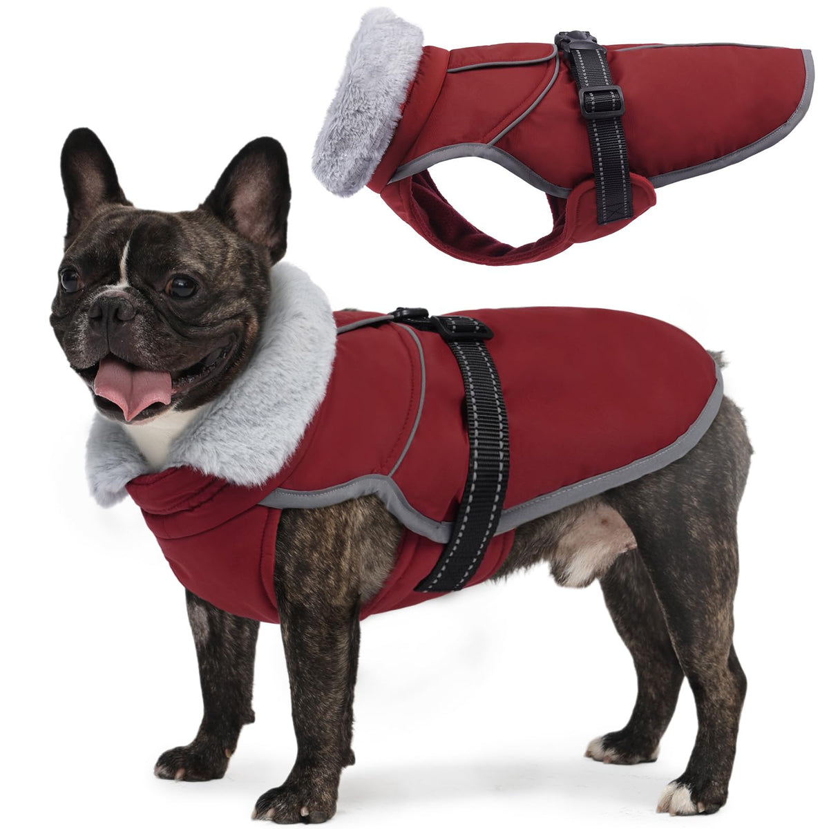 LeLePet Warm Dog Winter Coat back view with reflective piping for safer night walks
