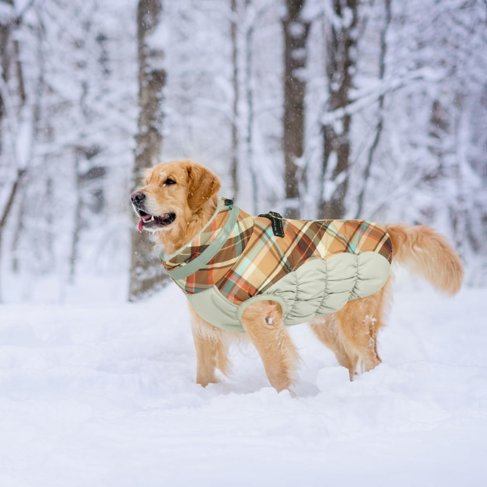 LeLePet warm dog winter coat brown plaid XXL keeps large breeds comfortable outdoors.
