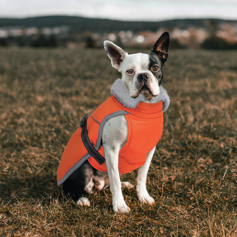 LeLePet care-washable coat for easy cleaning after muddy adventures.