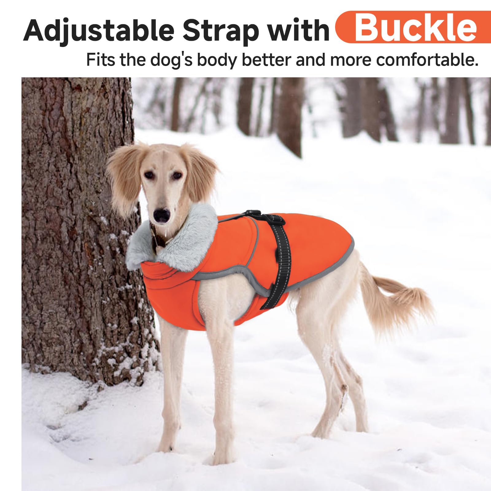 LeLePet Winter Coat back view highlights leash opening.