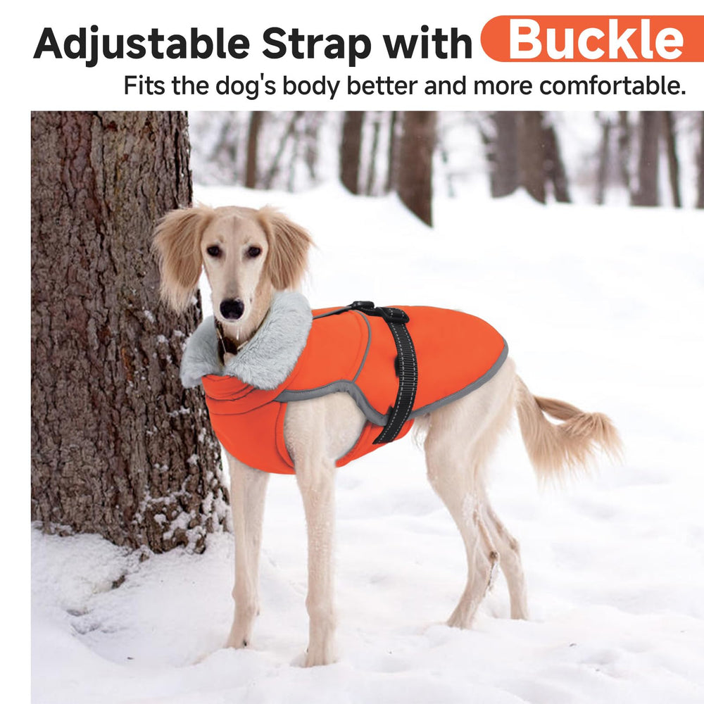 LeLePet Winter Coat back view highlights leash opening.
