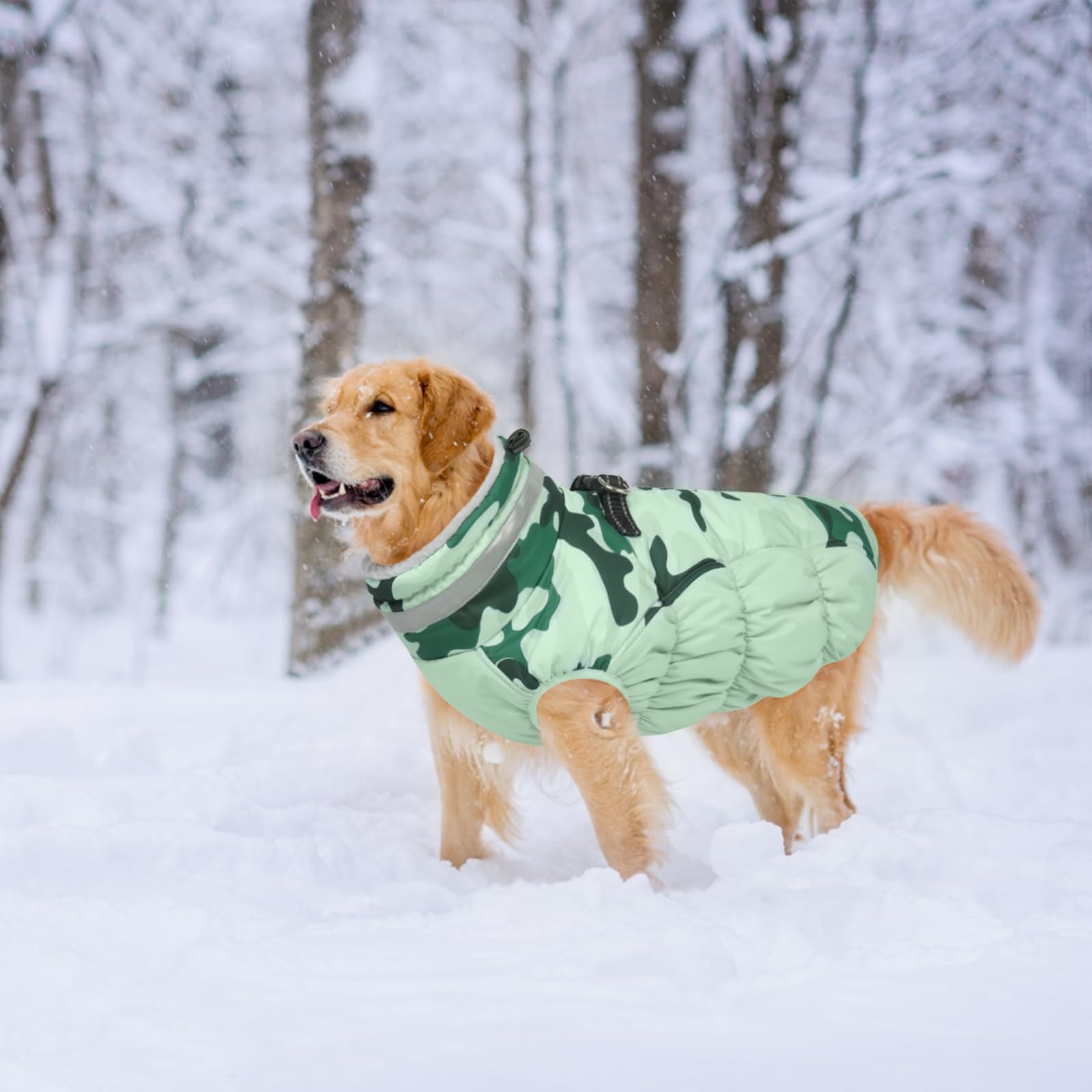 LeLePet warm dog winter coat machine washable for easy cleanup after adventures