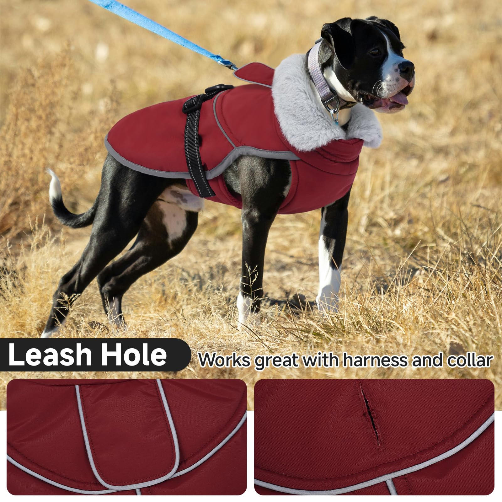 LeLePet Warm Dog Winter Coat plush collar detail adds warmth around the neck