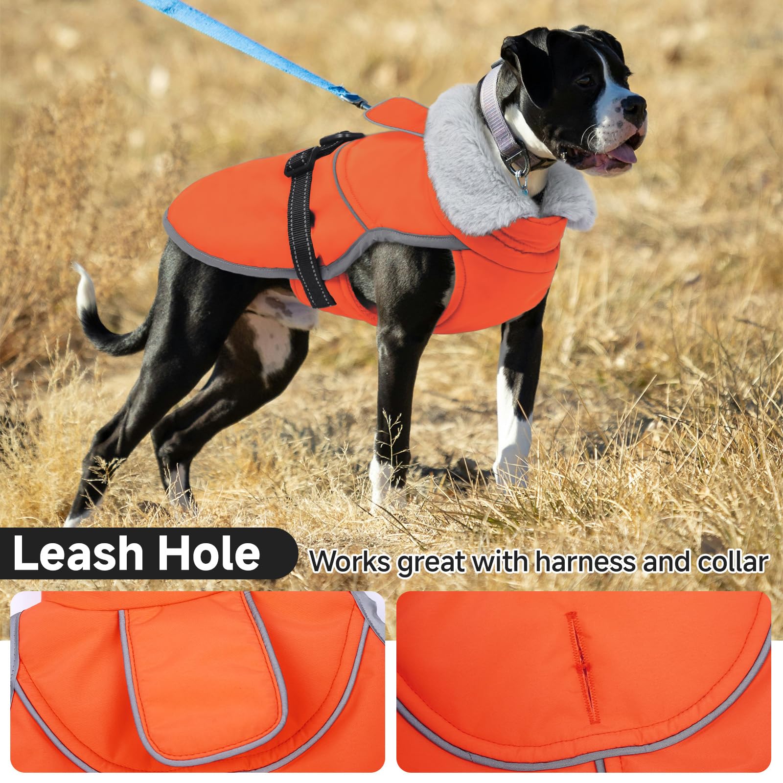 LeLePet plush collar close-up adds extra warmth.