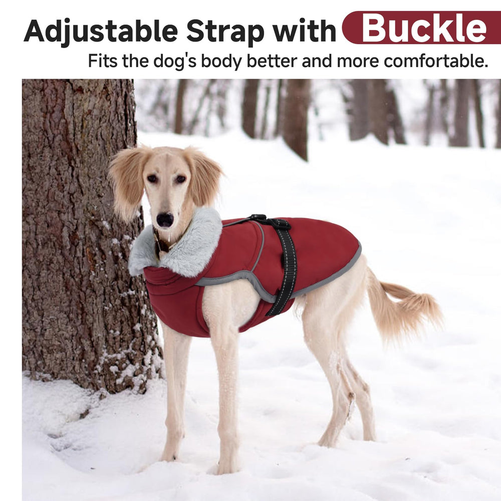 LeLePet Warm Dog Winter Coat reflective piping improves visibility during dawn or dusk
