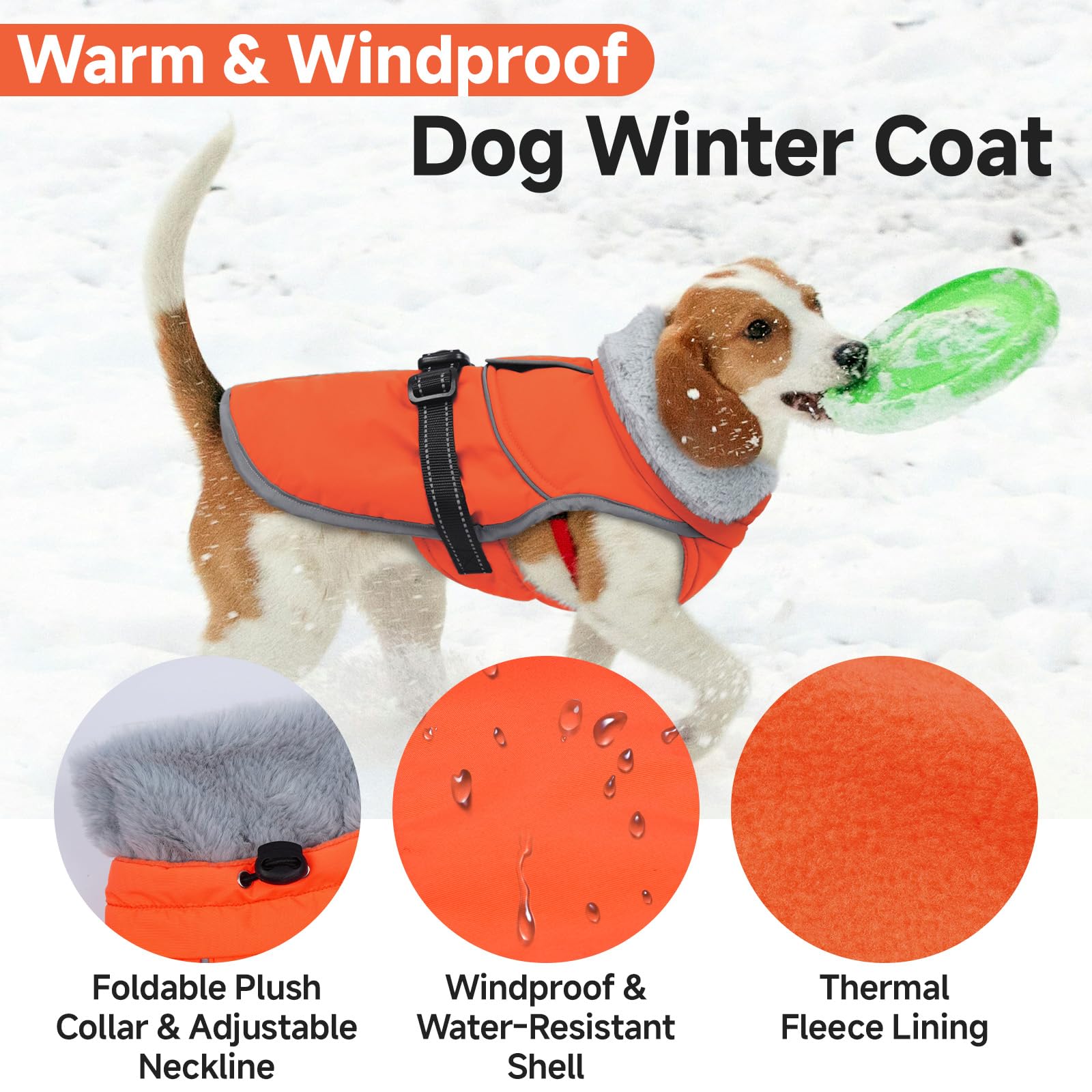 LeLePet coat with reflective piping visible for night walks.