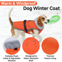 LeLePet coat with reflective piping visible for night walks.