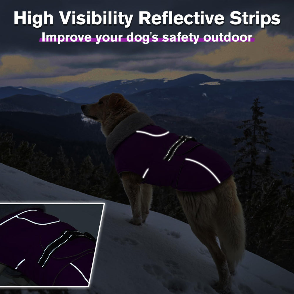 LeLePet reflective strips on coat for safe night walks